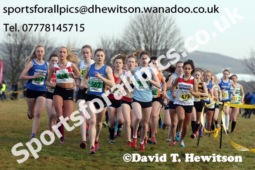 Womens under-17s and 20s North Eastern Cross Country, Aykley Heads, Durham. Photo: David T. Hewitson/Sports for All Pics